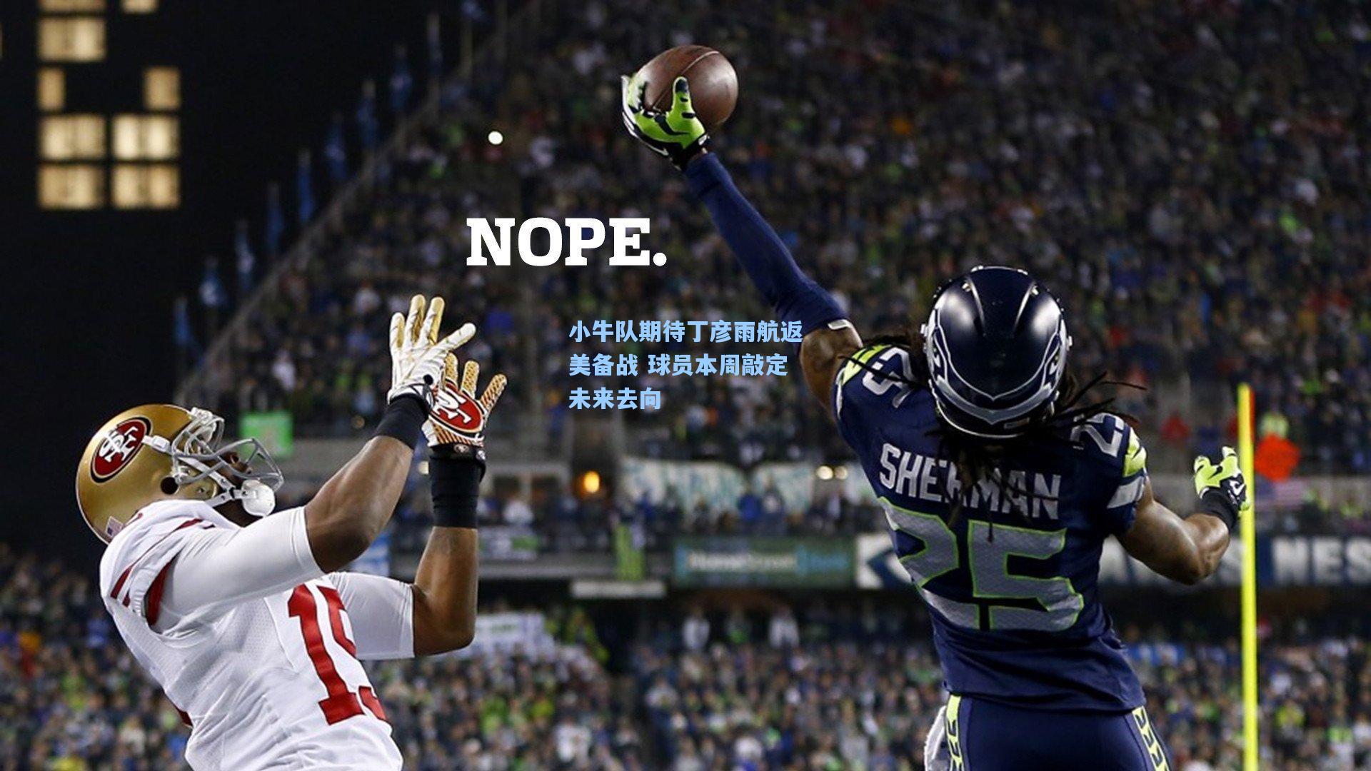 小牛队期待丁彦雨航返美备战 球员本周敲定未来去向