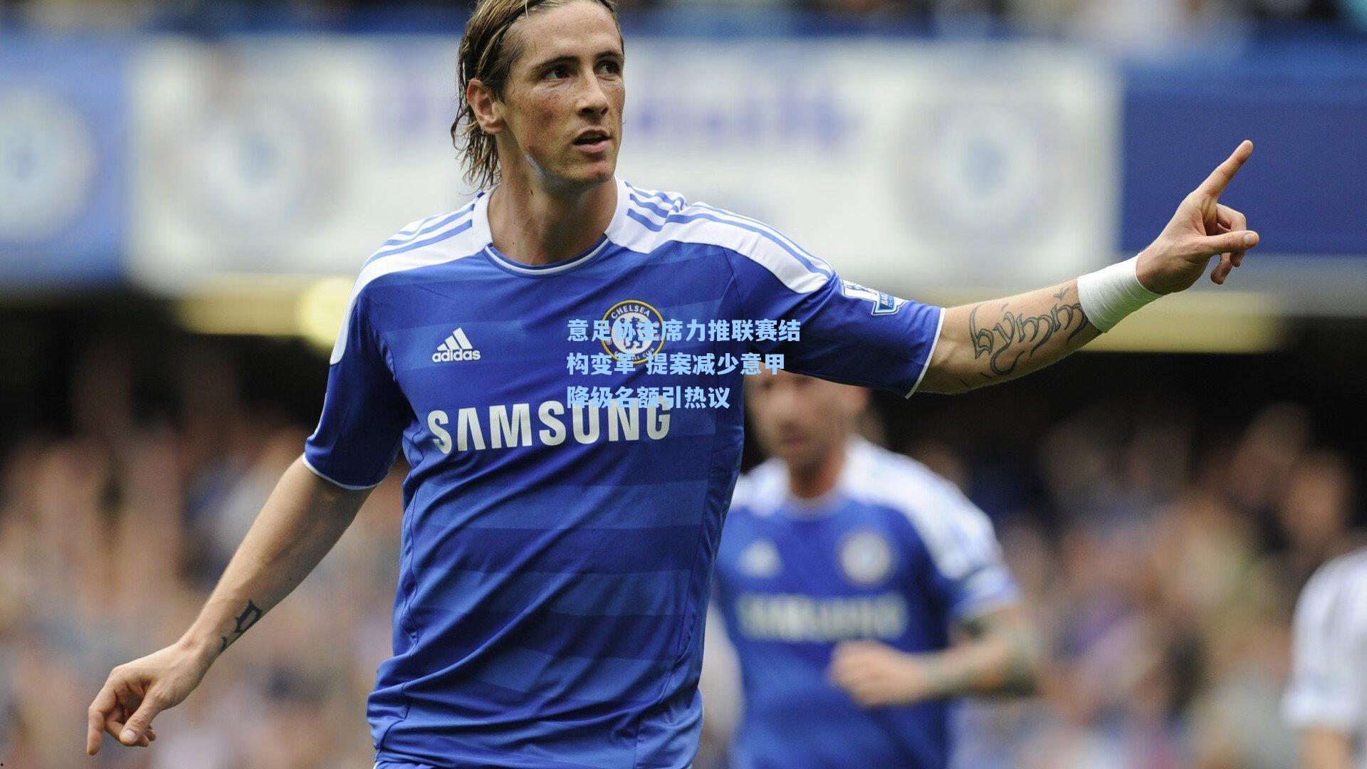 意足协主席力推联赛结构变革 提案减少意甲降级名额引热议